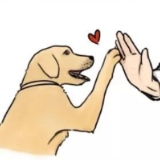 文明常识丨这组文明养犬漫画，强烈建议收藏一下！