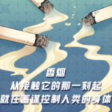 禁烟宣传丨吸烟有害健康，一图读懂吸烟是如何伤害我们的身体！