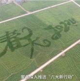 深入推进“六大新行动” 全面彰显“七个新担当丨 蓼江镇：绘就宜居宜业和美蓼江新画卷