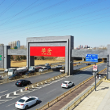 瓣瓣同心｜习近平心中的“千年大计”