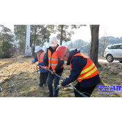 聚焦灾后重建丨从“失联”到“畅联”  通信网络破局重建