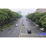 市园林绿化服务中心：“精管细治”提升城市“颜值”品质