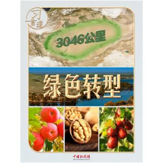 【追光的你】习言道丨这条“绿围脖”，习近平牵挂在心
