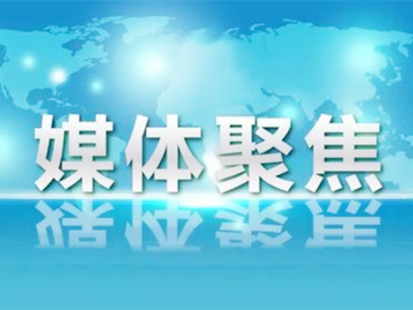 每日一图 | 多彩暑假