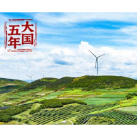 大国五年丨逐“绿”向“新”，塞北的风点亮湾区的灯！