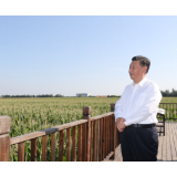 镜观·回响丨像保护大熊猫一样保护黑土地