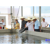聚焦水产养殖难题，湖南省专家服务团为东江湖渔业发展“把脉开方”