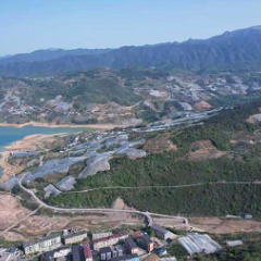 资兴柑橘甜，移民日子红丨东江湖畔绘就乡村“橙”功路