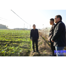 统筹安全和发展 助推乡村全面振兴