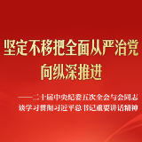 二十届中央纪委五次全会与会同志谈学习贯彻习近平总书记重要讲话精神
