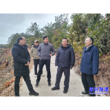 湘南学院专家组来我市调研中药材产业