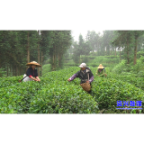 资商力量·奋进现代化 ③ |  转型・把握未来之智——破局发展瓶颈 激发县域经济新活力