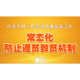 中央农村工作会议关键提法之六：常态化防止返贫致贫机制