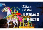 新春走基层·文化奇遇记 | 漫赏第40届秦淮灯会