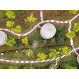 中央一号文件，划重点！