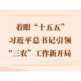 第一观察丨着眼“十五五”，习近平总书记引领“三农”工作新开局