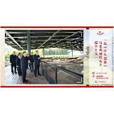 近镜头·习近平的文化足迹丨“把‘千年瓷都’这张靓丽的名片擦得更亮”
