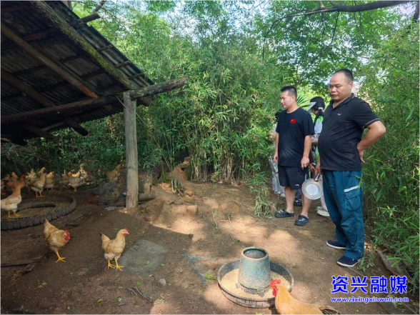 回龙山瑶族乡：产业奖补“小杠杆” 撬动乡村振兴“大动能”
