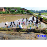 唐洞街道镜塘村:田间体验 乐享假期