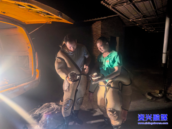 蓼江镇：摘除马蜂窝 为民除隐患保平安