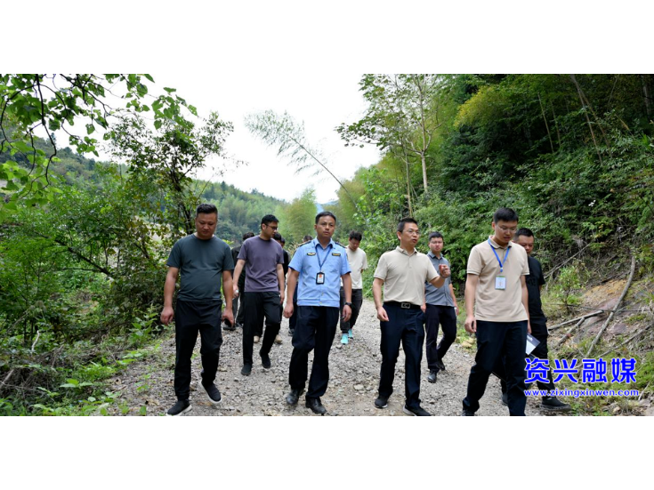 生态修复竟致林地损坏 省第四生态环境保护督察组赴北湖区开展信访核查