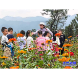 袁秀兰：守住孩子的尊严 点亮孩子的心灯