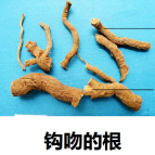 紧急提醒：剧毒！千万别拿来煲汤