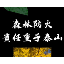 森林防火 责任重于泰山