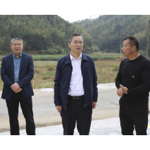 走基层 找问题 想办法 促发展 | 坚持党建引领 培育特色产业 推进乡村振兴迈上新台阶