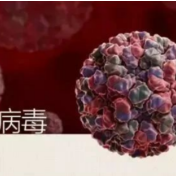 郴州疾控提示：诺如病毒来袭，这份防御指南请收好！