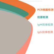 “阳过”之后，多少比例的人群已有长期抗体？