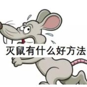 春季灭鼠防鼠知识宣传