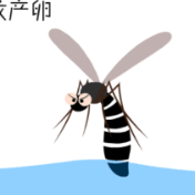 春季灭蚊早，夏季少被咬