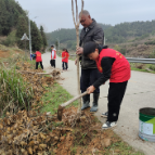 州门司镇：村民、师生、志愿者植树忙