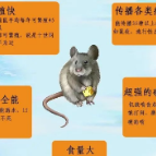 春季灭鼠正当时，这些知识要熟知！