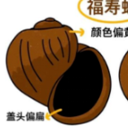 春季食用这两种食物要当心，谨防疾病找上门