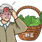 快放下筷子！形似芹菜，已有人中毒！