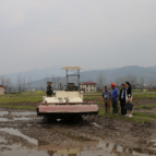 春耕专项监督 扎牢群众“米袋子”