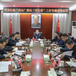 环东江湖“两违”整治工作专题会商会召开