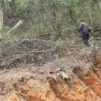 三都镇鹿东村：开通森林防火隔离带  织牢防火“安全网”