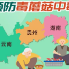 如何预防毒蘑菇中毒？一图读懂！