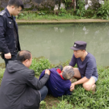 纵身一跃 民警快速救下落水老人