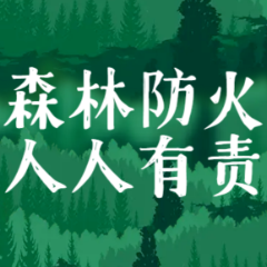 森林防火，这些你得知道！