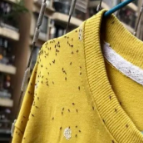 紧急提醒！近期少穿黄色、绿色衣服出门！