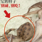 剧毒！千万别吃！又有人“中招”了