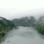 当好主力军 办好旅发会丨 春雨暖东江 雾中寻景千百度