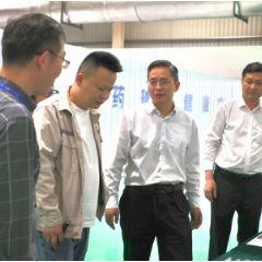 大兴调查研究丨杨理诚到园区重点企业调研