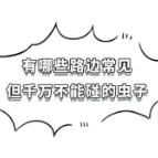 这5种路边常见的虫子，千万不要随便碰！！！