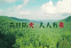【森林草原防火】森林防火 人人有责