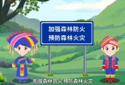 森林防火“十不准”